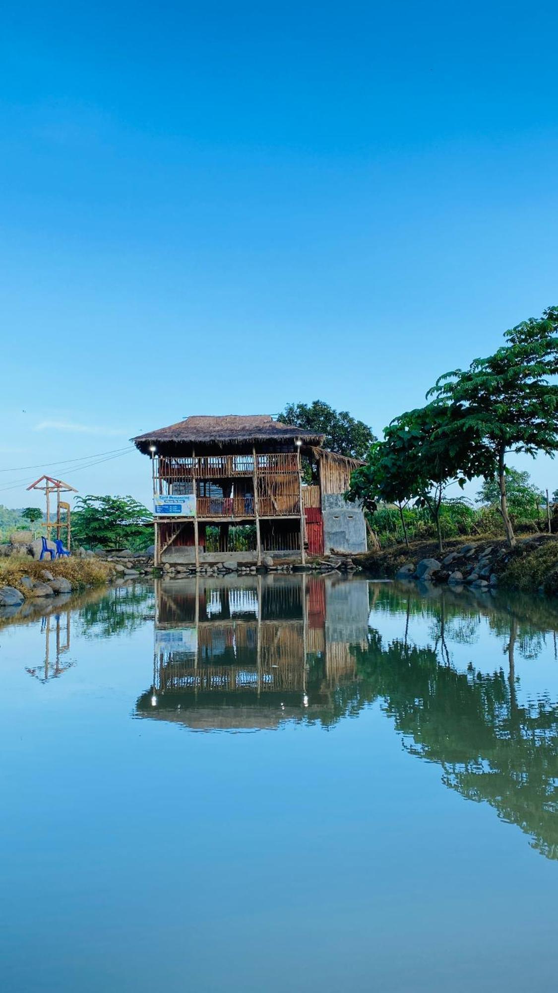 Tiu Batu Homestay Alas Εξωτερικό φωτογραφία