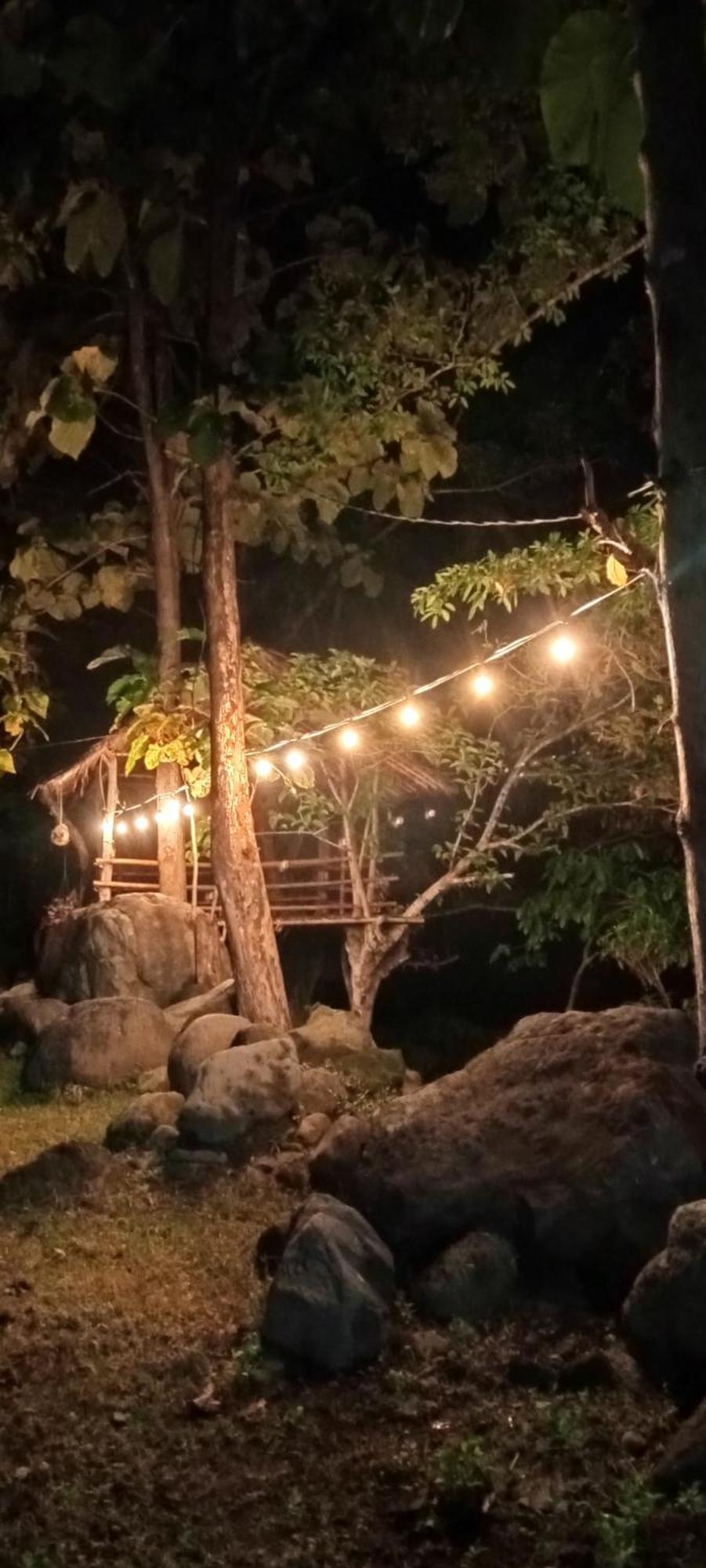 Tiu Batu Homestay Alas Εξωτερικό φωτογραφία